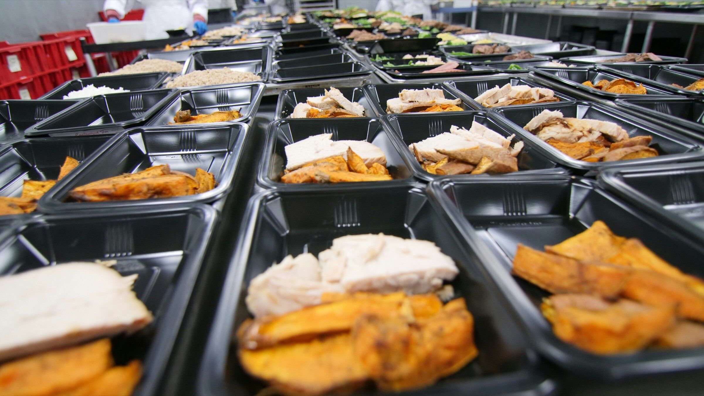 Rows of prepared meal trays